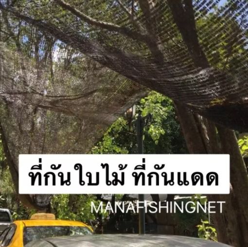 ที่กันใบไม้ร่วง ที่กันแดด ขนาด 2x2 เมตร รูปที่ 2