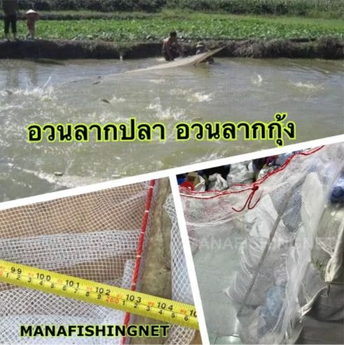 อวนลากปลา อวนลากกุ้ง แบบสำเร็จพร้อมลาก รูปที่ 4