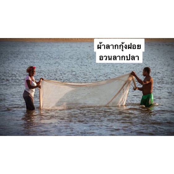 อวนลากปลา อวนลากกุ้ง แบบสำเร็จพร้อมลาก รูปที่ 11