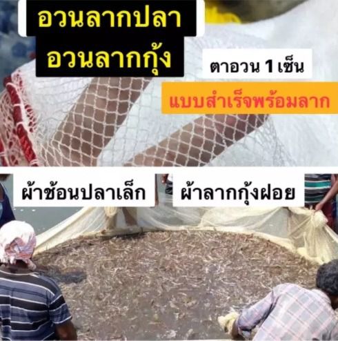 อวนลากปลา อวนลากกุ้ง แบบสำเร็จพร้อมลาก