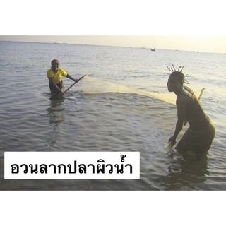 อวนลากปลา อวนลากกุ้ง แบบสำเร็จพร้อมลาก รูปที่ 15