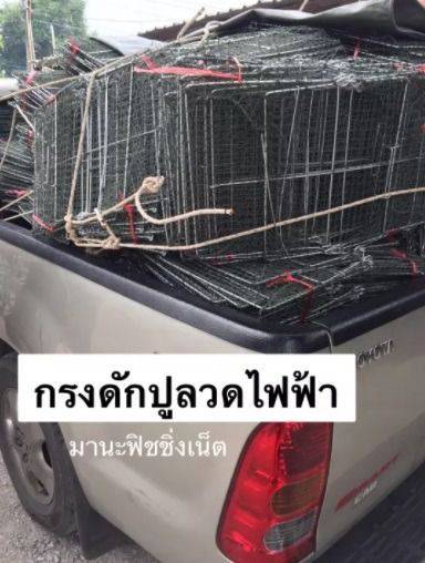 Crab Trap กรงดักปู รุ่นลวดไฟฟ้าป้องกันสนิม รูปที่ 6
