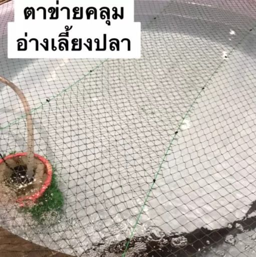 ตาข่ายคลุมอ่างเลี้ยงปลา 1 ผืนขนาด 1.5x15 เมตร  รูปที่ 2
