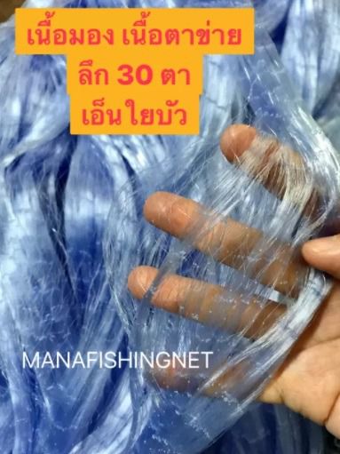 เนื้อมอง เนื้อตาข่าย ลึก 30 ตา เอ็นใยบัว ป้าย 180 เมตร มีหลายขนาดตาให้เลือก รูปที่ 2