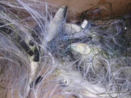 มองดักปลา ติดทุ่นตะกั่วพร้อมใช้งาน รูปที่ 6