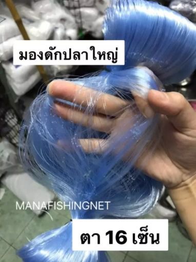 ตาข่ายดักปลา รูปที่ 4