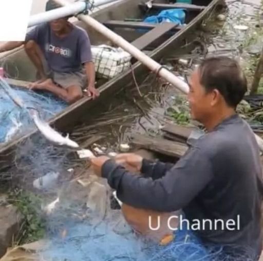 ไหลมองดักปลาน้ำโขง 18 เซ็นลึก 3.5 เมตร รูปที่ 4