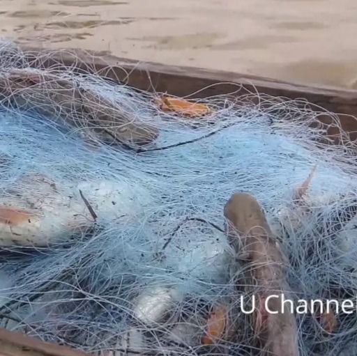 ไหลมองดักปลาน้ำโขง 18 เซ็นลึก 3.5 เมตร รูปที่ 3