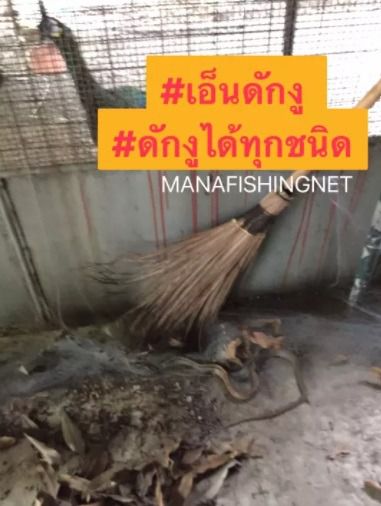 ตาข่ายป้องกันอันตรายจากสัตว์เลื้อยคลาน และสัตว์มีพิษ