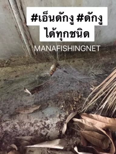 ตาข่ายป้องกันอันตรายจากสัตว์เลื้อยคลาน และสัตว์มีพิษ รูปที่ 5