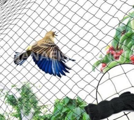 ตาข่ายกันนก รุ่น UV Protection ขนาดสูง 4 เมตร ยาว 14 เมตร  รูปที่ 3