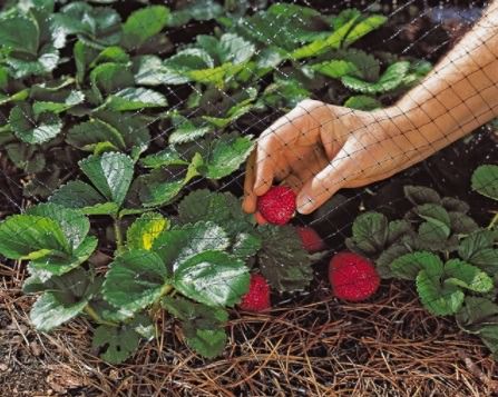 ตาข่ายกันนก รุ่น UV Protection ขนาดสูง 4 เมตร ยาว 14 เมตร  รูปที่ 5