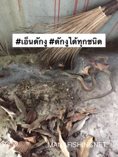 ตาข่ายดักงู รุ่นงูติดจริง รูปที่ 3