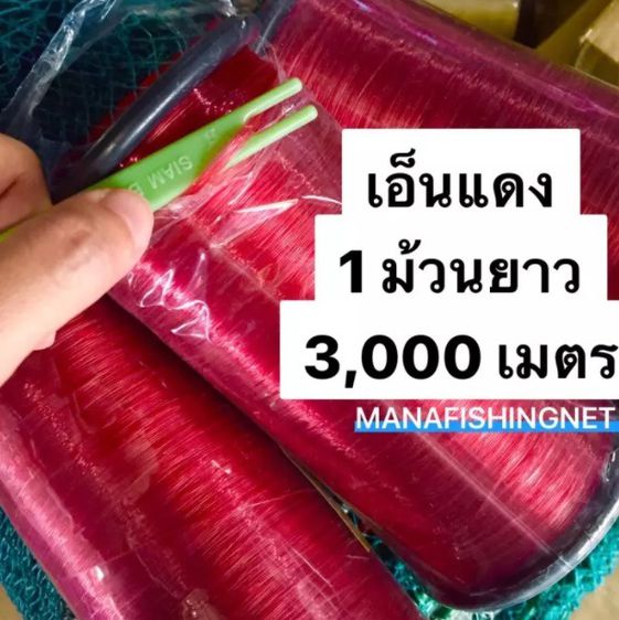 เอ็นแดง กันนก ยาว 3,000 เมตร รูปที่ 4