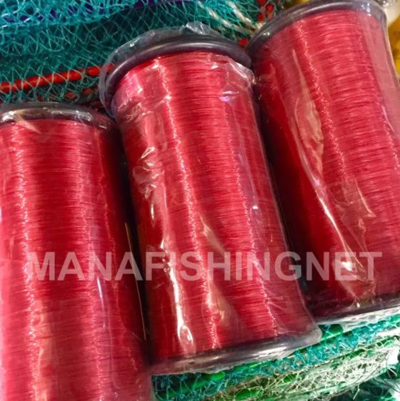 เอ็นแดง กันนก ยาว 3,000 เมตร รูปที่ 2