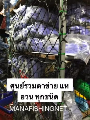 ตาข่ายดักปลา ลึก 30 ตา เอ็น 20 ป้ายยาว 200 เมตร รูปที่ 4