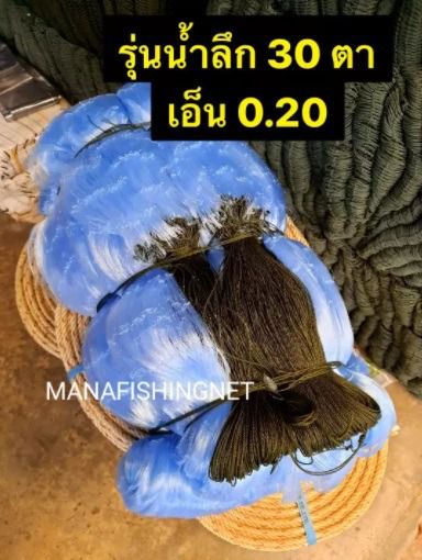 มองปลิวดักปลา รูปที่ 5