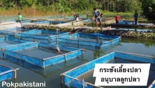 กระชังเลี้ยงปลา แบบสำเร็จ มีหลายขนาดให้เลือก รูปที่ 7