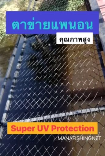ตาข่ายแพนอน Super UV Protection คุณภาพสูง  รูปที่ 3
