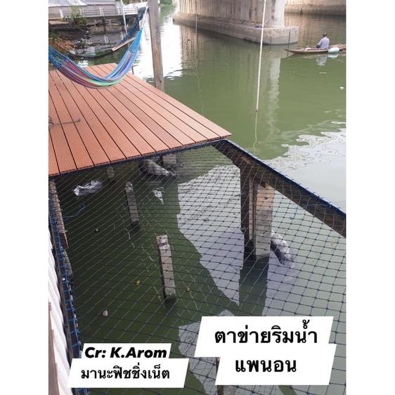 ตาข่ายแพนอน UV Protection ขนาด 2x4 เมตร รูปที่ 7