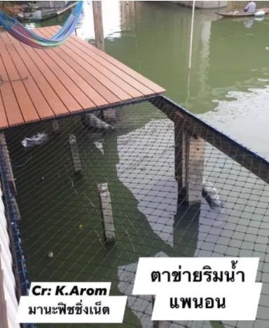 แพตาข่ายนอนเล่น 📌รุ่นประหยัด 🅰️ ขนาด 2x2 เมตร รูปที่ 4