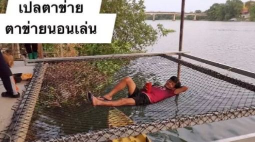 ตาข่ายแพนอน สำหรับตกแต่งร้านอาหาร รีสอร์ท บ้านสวน รูปที่ 5