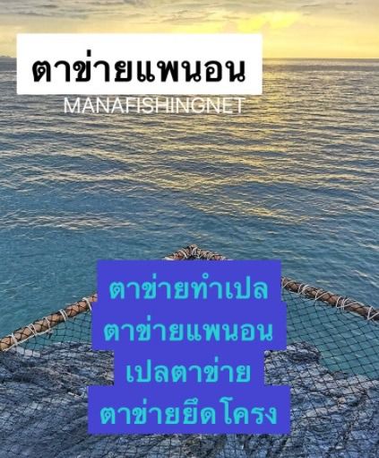 ตาข่ายเปลนั่งชิว มีหลายขนาดให้เลือก รูปที่ 3