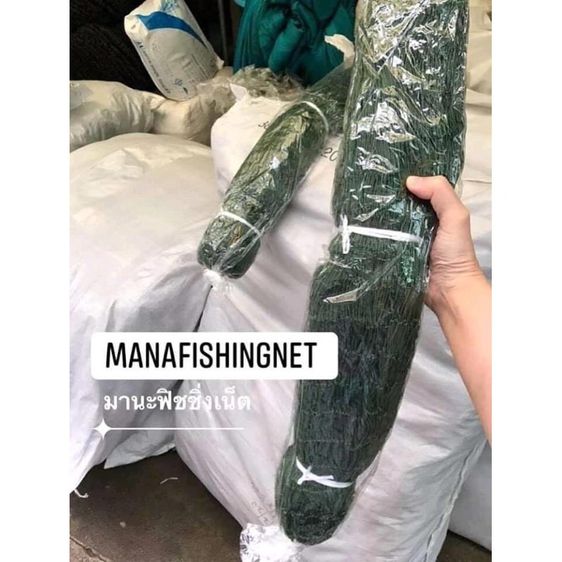 ตาข่ายเล้าไก่ ตาข่ายเลี้ยงไก่ รูปที่ 8