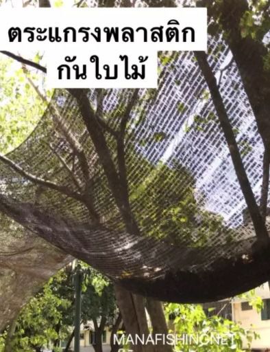 ที่กันแดด กรองแสง ป้องกันความร้อน กันใบไม้ร่วง  รูปที่ 6