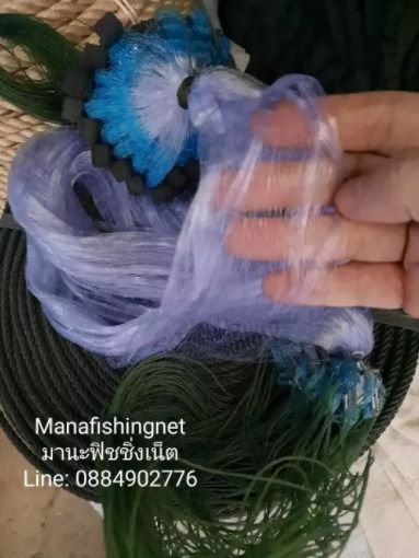 ตาข่ายดักปลา เอ็นใยไหม  รูปที่ 3