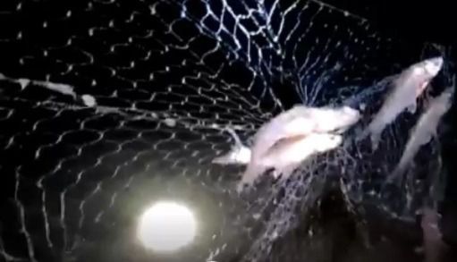 อวนปลากระบอก ปลาทราย รูปที่ 8