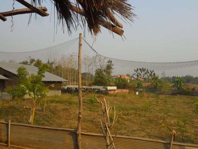 เชือกตาข่าย ล้อมรั้ว กั้นสัตว์ รูปที่ 4