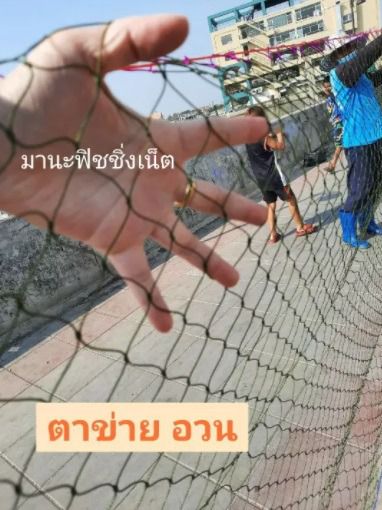 ด่างกักปลา เนื้อเปล่า ยาว 15 เมตร รูปที่ 4