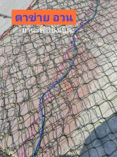 อวนไนลอน เนื้อเปล่าขนาด 2x15 เมตร รูปที่ 7