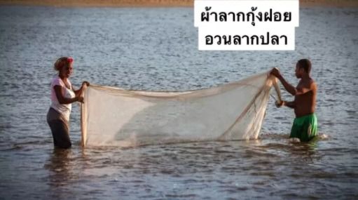 อวนลากปลาแบบสำเร็จ รูปที่ 7