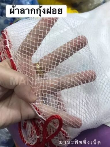 ที่จับกุ้งฝอยตัวเล็ก รูปที่ 5