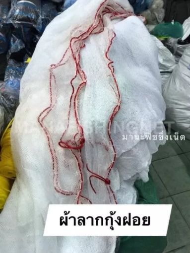 ที่จับกุ้งฝอยตัวเล็ก รูปที่ 4
