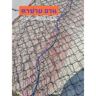 ตาข่ายไนลอน รูปที่ 8