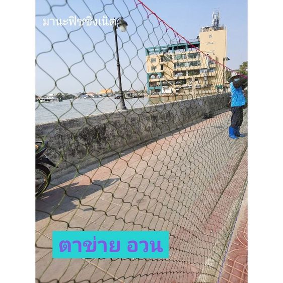 ตาข่ายไนลอน