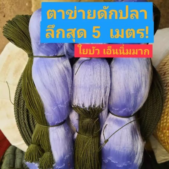 มองปลิวเอ็นใยบัว ลึก 5 เมตร รูปที่ 2