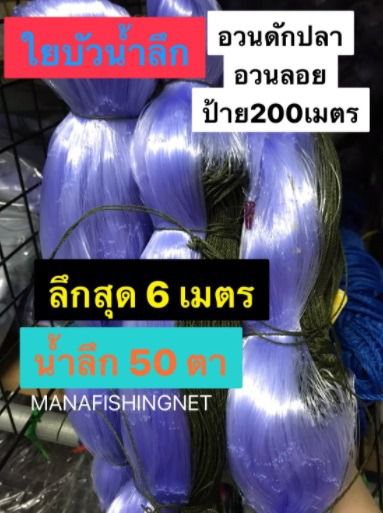 อวนดักปลา 200 เมตร ดักปลาใหญ่ รูปที่ 4