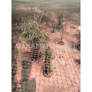 ตาข่ายทำคอกน้องหมา น้องแมว รูปที่ 4