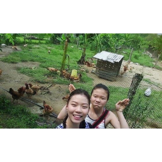 ตาข่ายทำคอกน้องหมา น้องแมว รูปที่ 8