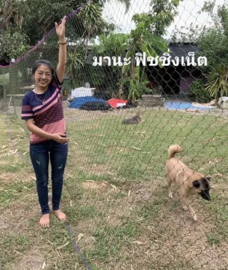 ตาข่ายกันงู รูปที่ 8