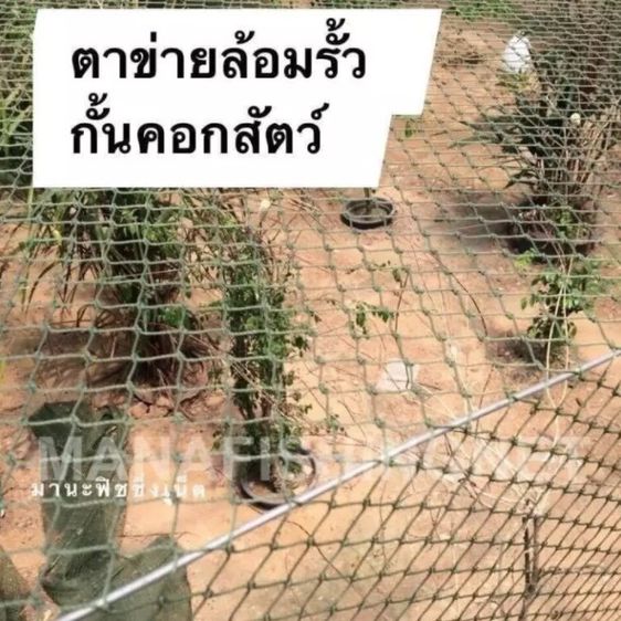 ตาข่ายกันงู รูปที่ 6