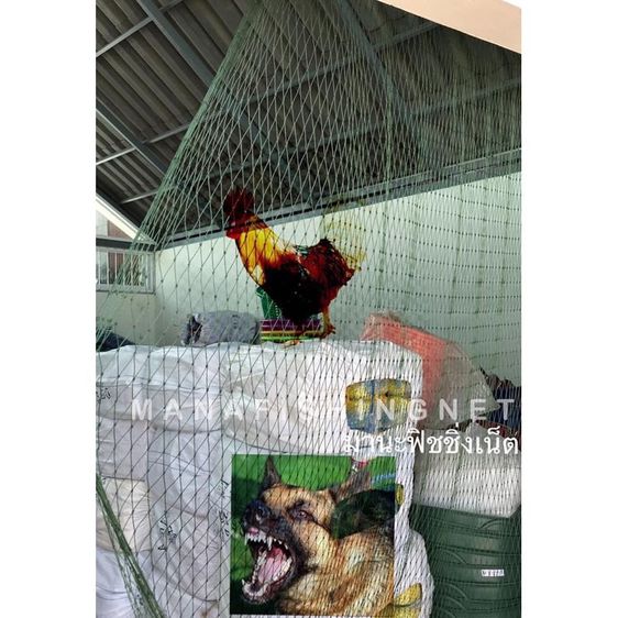 ตาข่ายอเนกประสงค์ล้อมรั้ว  ขนาด 1.5x15 เมตร รูปที่ 3