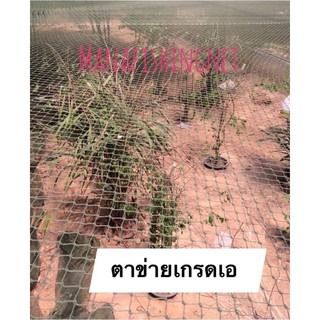 ตาข่ายล้อมคอกอเนกประสงค์ ขนาด 1.5x15 เมตร รูปที่ 2