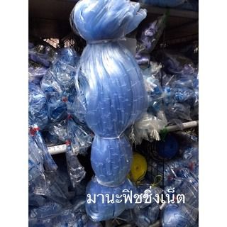 มองเนื้อเปล่า ตา 10 เซ็น เอ็น 0.20 ลึก 50 ตา ลึก 5 เมตร  รูปที่ 3
