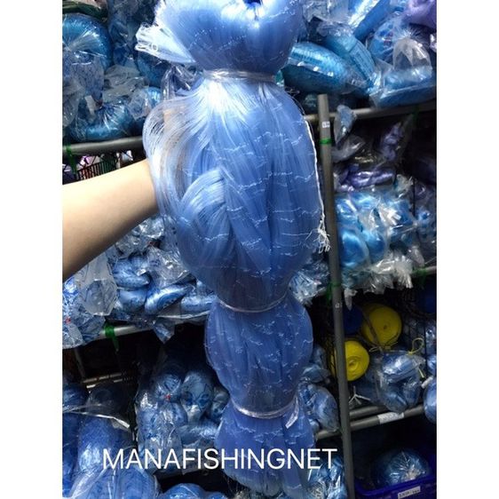 มองเนื้อเปล่า ตา 10 เซ็น เอ็น 0.20 ลึก 50 ตา ลึก 5 เมตร  รูปที่ 6