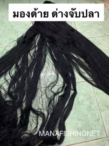 มองดักปลาเนื้อด้ายไนลอน  รูปที่ 6